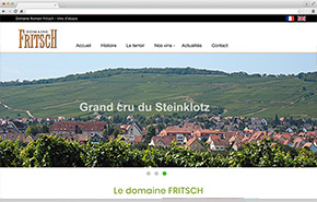 Site web Romain Fritsch